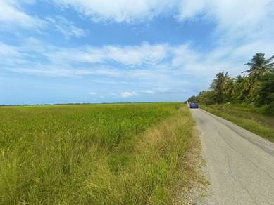 Agricultural-Land-for-sale-Alor-Setar-Kedah