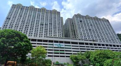 Auction Green Garden !! Below Market Price!!