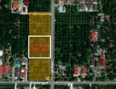 Agricultural-Land-for-sale-Kuala-Langat-Selangor