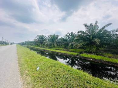 Agricultural-Land-for-sale-Kuala-Langat-Selangor