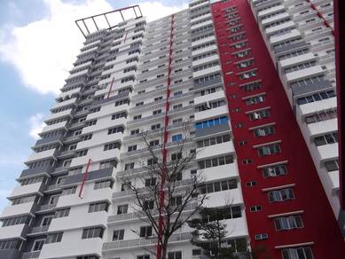 Koi Kinrara-2
