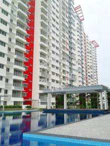 Koi Kinrara-3