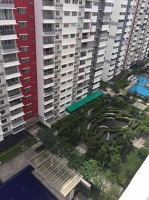 Koi Kinrara-1