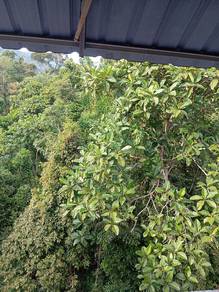 Taman Sri Gertak Sanggul