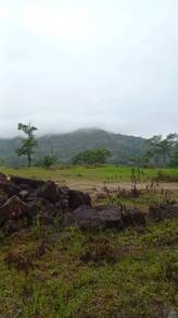 Agricultural-Land-for-sale-Hulu-Langat-Selangor