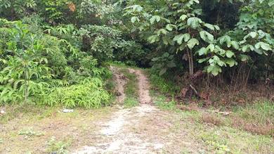 Agricultural-Land-for-sale-Hulu-Langat-Selangor-2