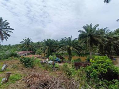[KOTA TINGGI] Telok Sengat Johor Lama lResidential land l Tanah kosong