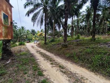 [KOTA TINGGI] Telok Sengat Johor Lama lResidential land l Tanah kosong