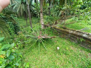 [KOTA TINGGI] Telok Sengat Johor Lama lResidential land l Tanah kosong