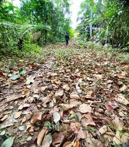 Termurah! Tanah Hulu Selangor