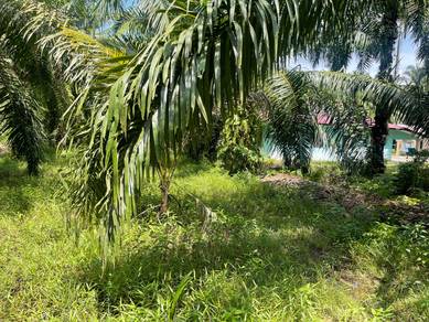 Nama Terus Masuk Geran Utk diJual diJln Kenari Kg Bukit Kuching Jeram