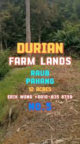 Agricultural-Land-for-sale-Raub-Pahang