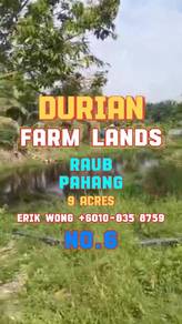 Agricultural-Land-for-sale-Raub-Pahang