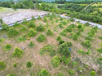 JB Sungai Tiram Sg Redang 2 Acre Freehold Musang King Durian Land