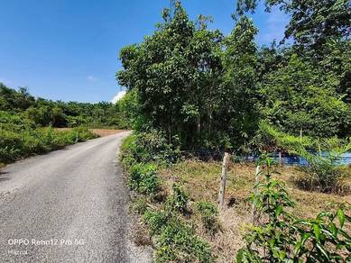 Agricultural-Land-for-sale-Kuala-Nerus-Terengganu