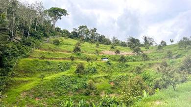 Agricultural-Land-for-sale-Jelebu-Negeri-Sembilan