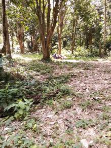 Agricultural-Land-for-sale-Hulu-Terengganu-Terengganu