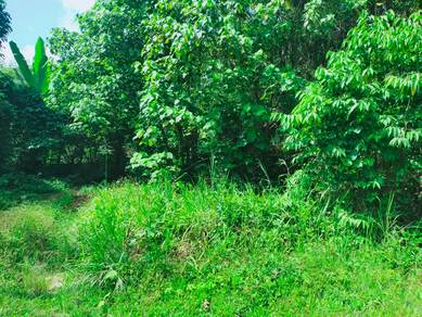 Agricultural-Land-for-sale-Raub-Pahang