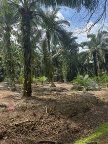 Pontian Land RM15.5/ Sqft ,Beside Mainroad, Skudai to Pontian Highway