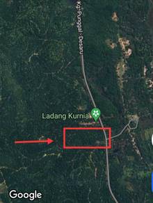Agricultural-Land-for-sale-Pengerang-Johor