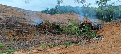 Tanah Pertanian di Kampung Sawah Raja Titian Bintangor, Rembau