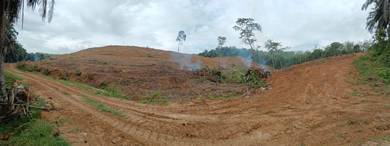 Tanah Pertanian di Kampung Sawah Raja Titian Bintangor, Rembau