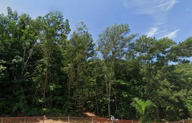 Agricultural-Land-for-sale-Slim-River-Perak