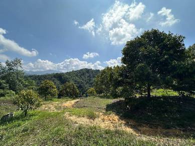 Agricultural-Land-for-sale-Ipoh-Perak