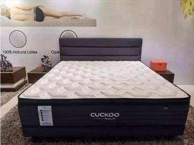 Tilam Cuckoo Ansuran Rp7N18