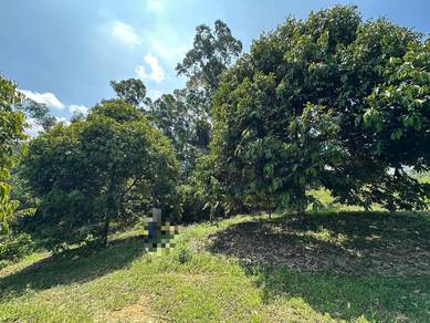 Agricultural-Land-for-sale-Ipoh-Perak