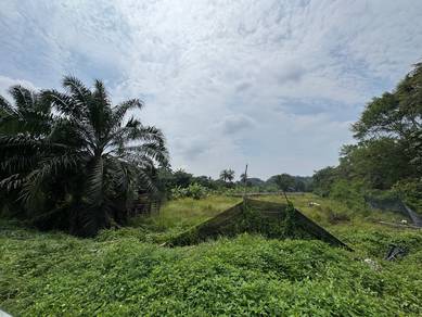 Agricultural-Land-for-rent-Klang-Selangor-3