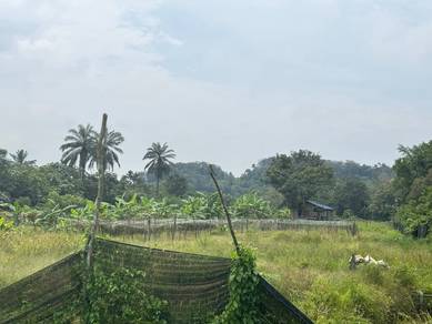 Agricultural-Land-for-rent-Klang-Selangor