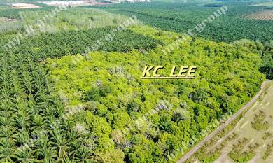 15.64 Acres Agricultural Land For Sale @ Pendang , Ayer Puteh Kedah