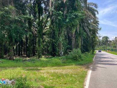 Agricultural-Land-for-sale-Batang-Kali-Selangor