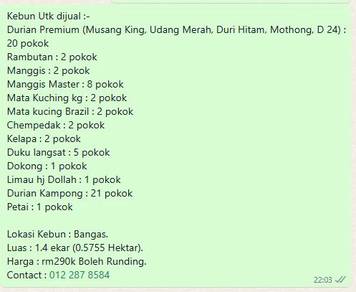 Tanah dusun bangas segamat 1.4 ekar durian rambutan kelapa dll