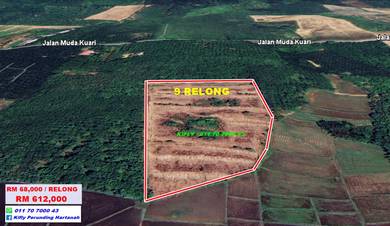 Agricultural-Land-for-sale-Jitra-Kedah