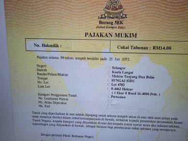 Agricultural-Land-for-sale-Kuala-Langat-Selangor
