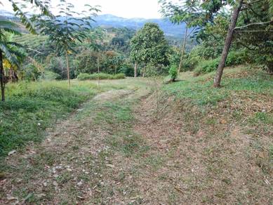 Agricultural-Land-for-sale-Kulim-Kedah