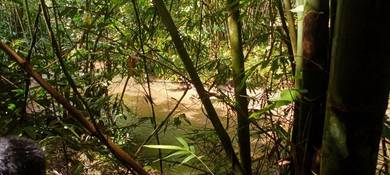 Agricultural-Land-for-sale-Batang-Kali-Selangor