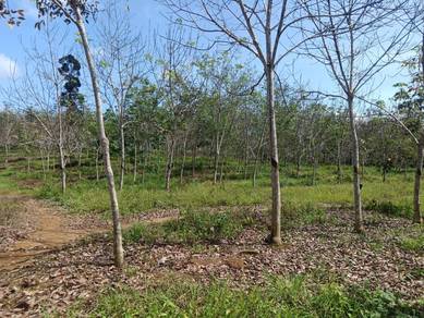 Sauk Freehold Agricultural Land For Sales
