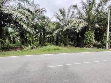 Bukit Perah Land Jenjarom 📌3.0 Acres  📌Beside Jalan Bukit Perah