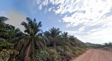16 Plot Industrial Land For Sale In Sungai Petani