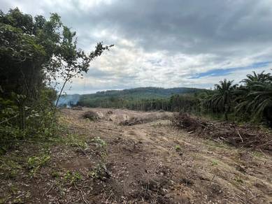 Agricultural-Land-for-sale-Lenggong-Perak