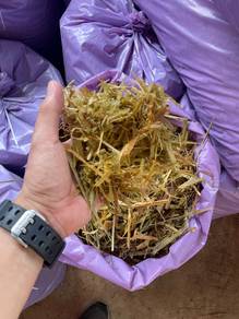 Silaj Napier / Napier Silage