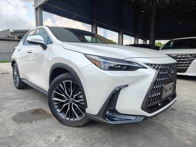 Lexus NX 250 LUXURY 4Cam HUD Brown Leather PB