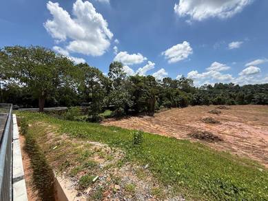 Agricultural-Land-for-rent-Ayer-Molek-Melaka