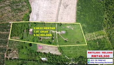 Agricultural-Land-for-sale-Jitra-Kedah