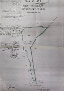 Agricultural-Land-for-sale-Bedong-Kedah
