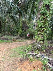 5.847 acre kurnia kongkong masai freehold pasir gudang