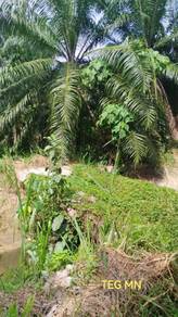 Agricultural-Land-for-sale-Telok-Panglima-Garang-Selangor